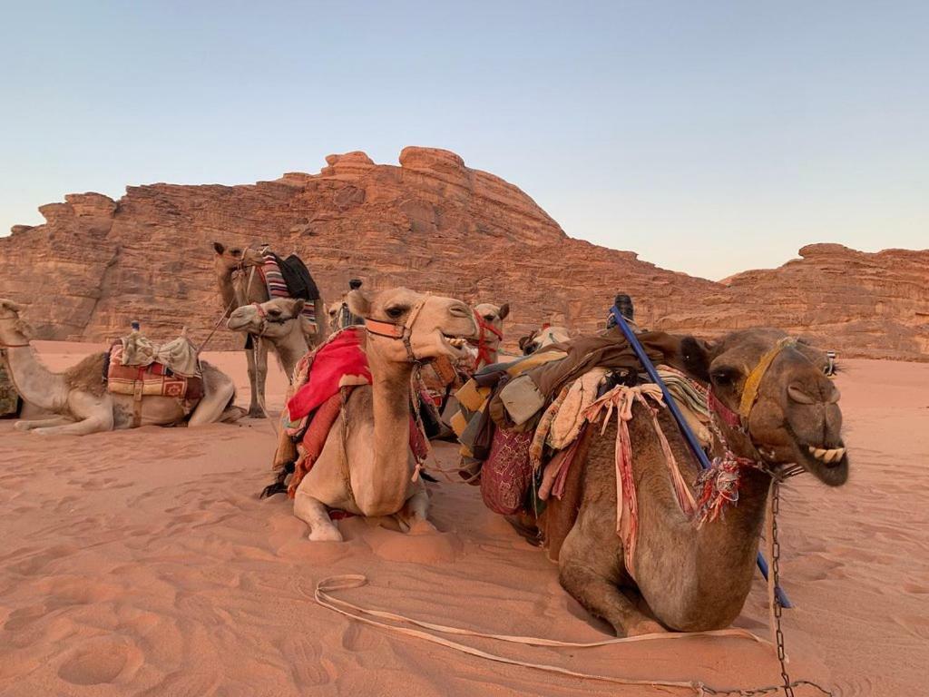 Space Village Luxury Camp Wadi Rum Exterior photo